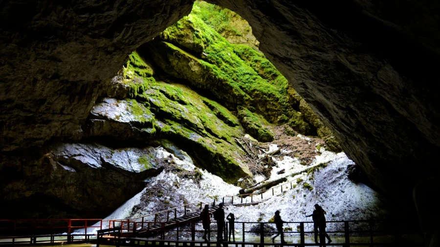 Eingang der Scărișoara-Höhle