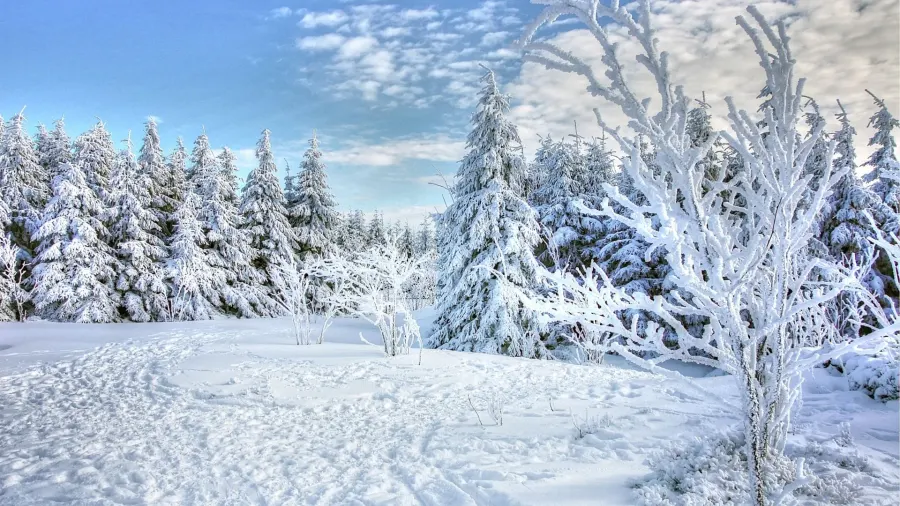 Winter