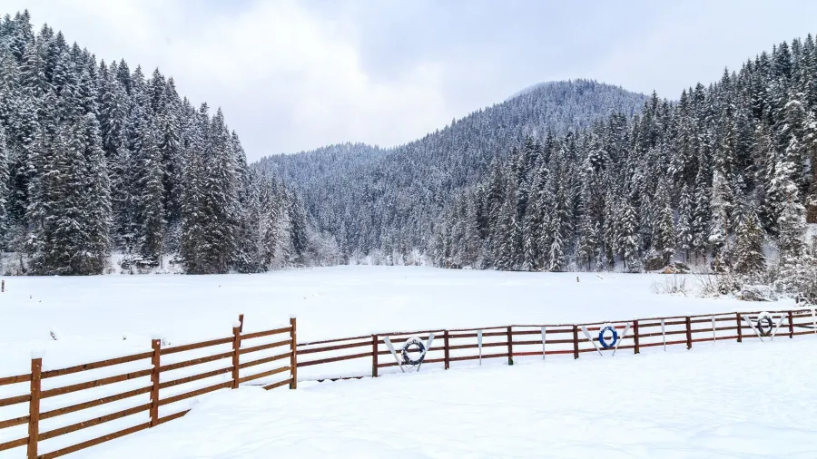 Red Lake