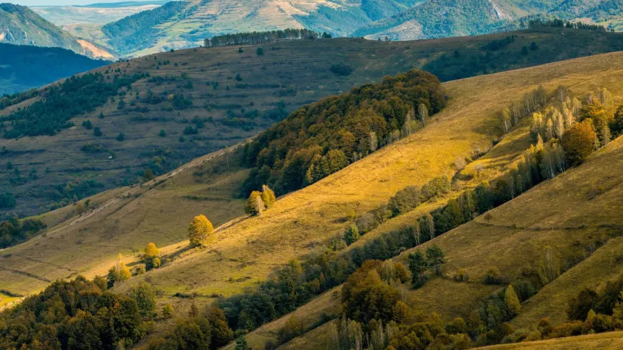 Valea Ponorului