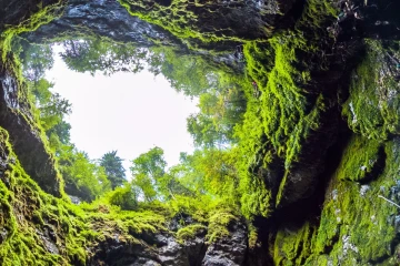 Scărișoara Ice Cave