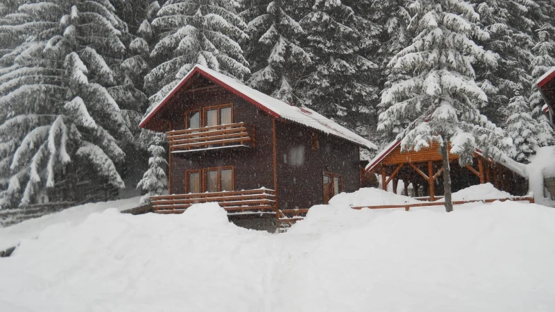 Cavnic Resort