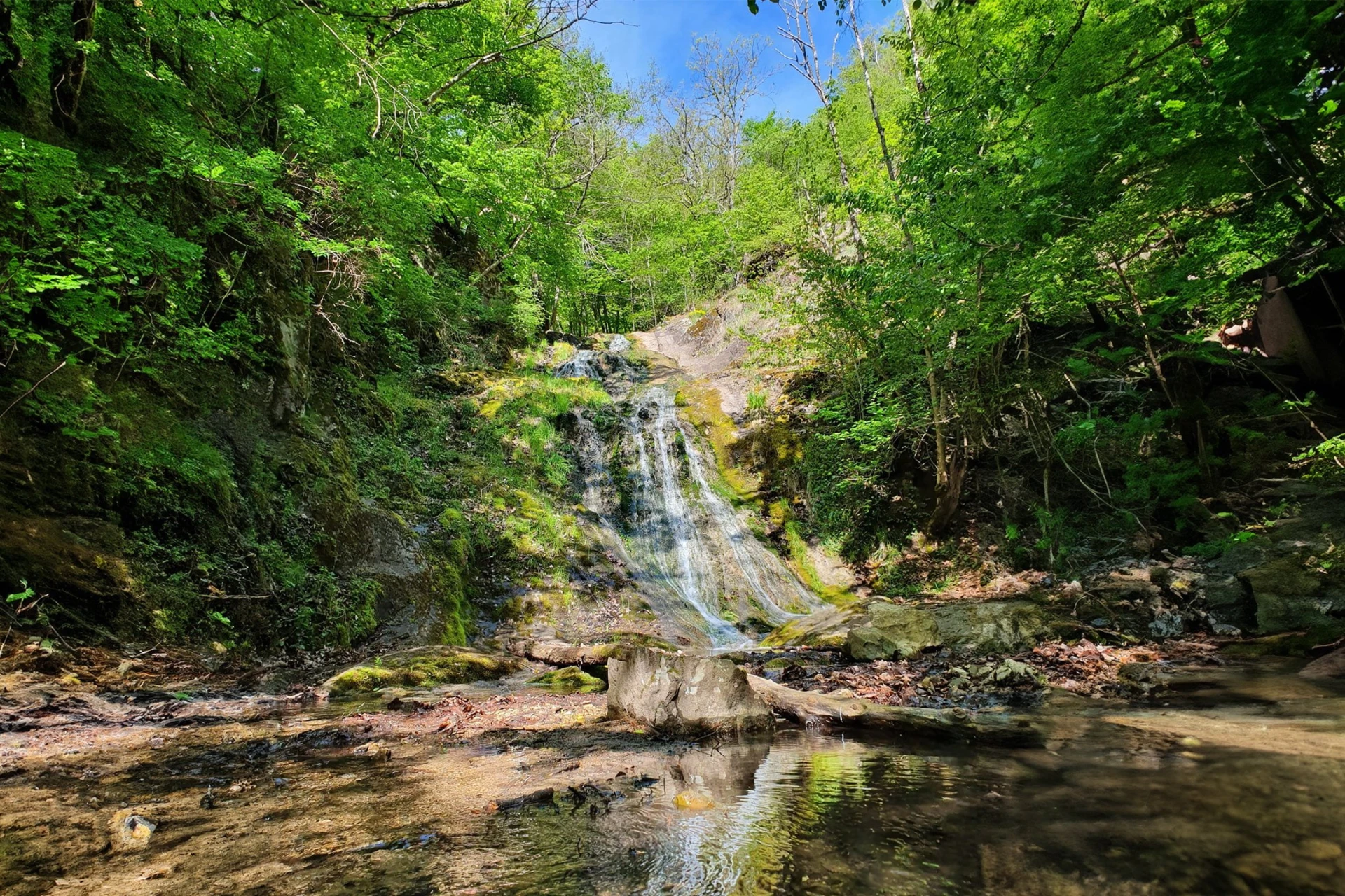 Borzești Gorges
