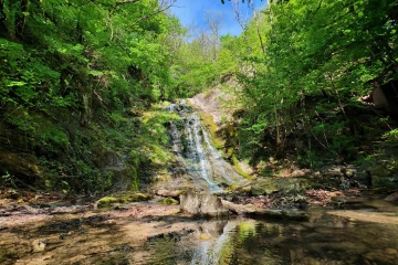 Borzești Gorges