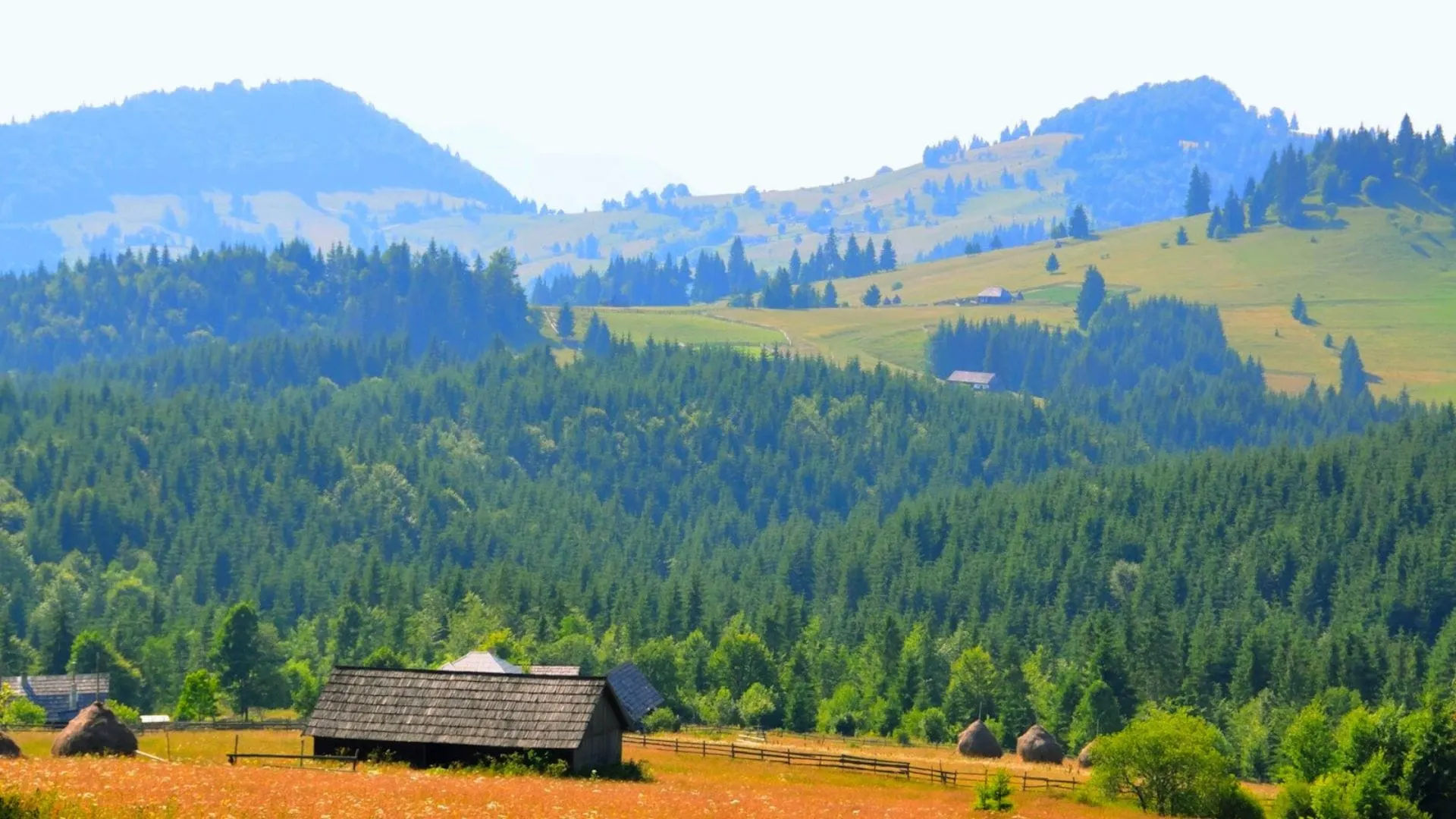 Tihuța-Pass