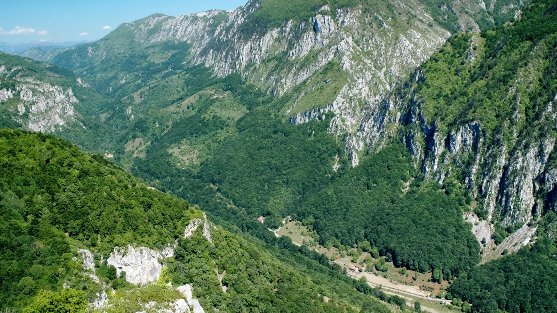 Cerna-Tal – Nationalpark Domogled