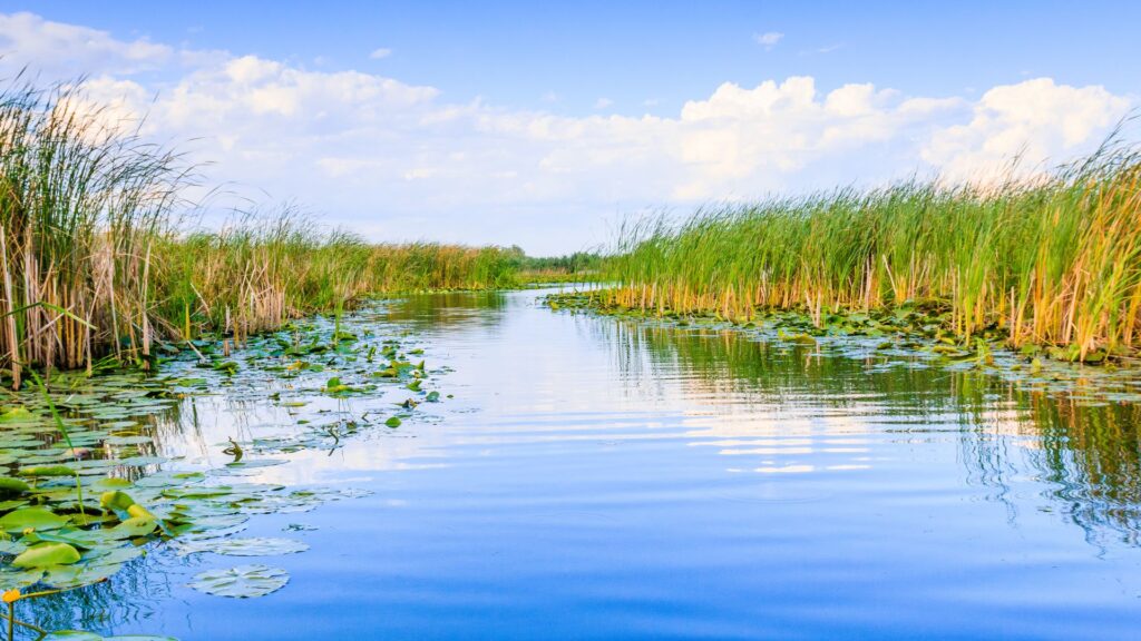 Delta Dunării - pe canale